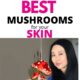 Which Mushrooms are Good for Skin